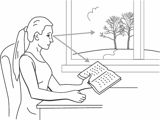 Иллюстрация к книге — Без очков. Восстановление зрения без лекарств [_37.jpg]