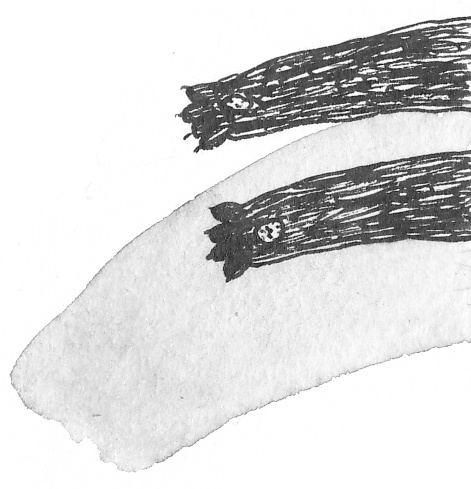 Иллюстрация к книге — Привидений почти не бывает [_113.jpg]