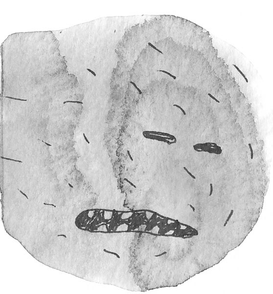 Иллюстрация к книге — Привидений почти не бывает [_232.jpg]