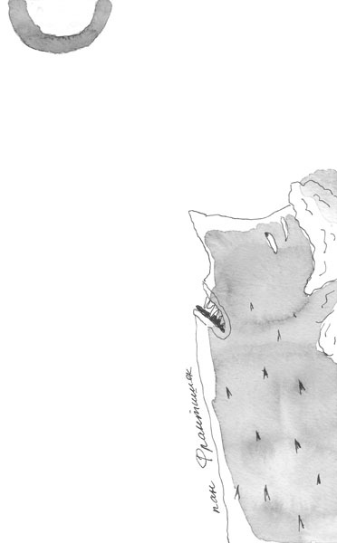 Иллюстрация к книге — Привидений почти не бывает [_73.jpg]