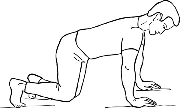 Иллюстрация к книге — Остеопороз. Советы и рекомендации ведущих врачей [i_033.jpg]