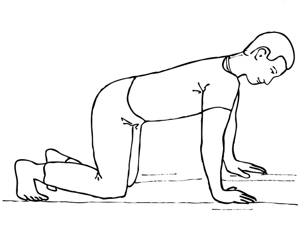 Иллюстрация к книге — Остеопороз. Советы и рекомендации ведущих врачей [i_047.jpg]