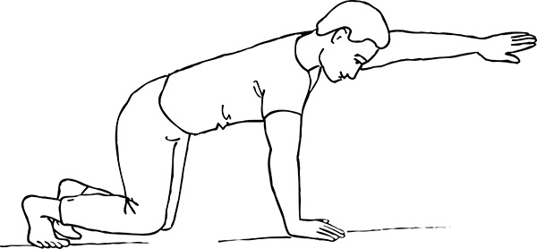 Иллюстрация к книге — Остеопороз. Советы и рекомендации ведущих врачей [i_048.jpg]