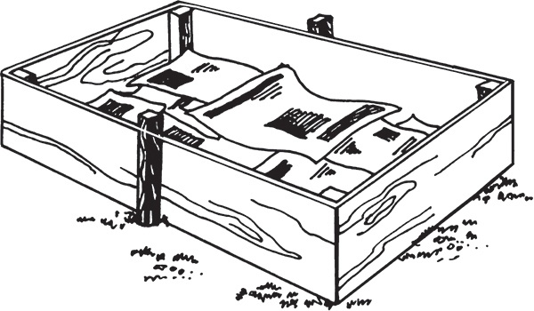 Иллюстрация к книге — Высокие грядки своими руками. Три урожая за сезон [i_004.jpg]