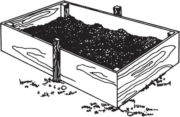 Иллюстрация к книге — Высокие грядки своими руками. Три урожая за сезон [i_005.jpg]