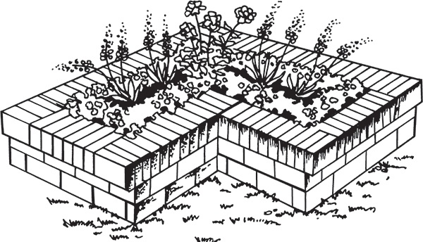 Иллюстрация к книге — Высокие грядки своими руками. Три урожая за сезон [i_008.jpg]