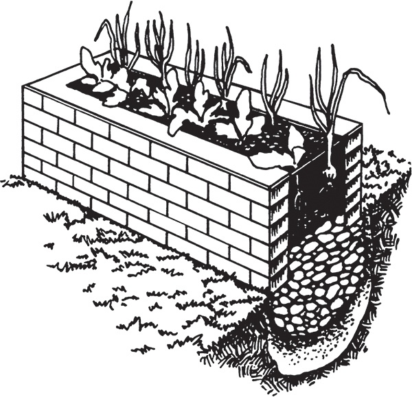 Иллюстрация к книге — Высокие грядки своими руками. Три урожая за сезон [i_009.jpg]