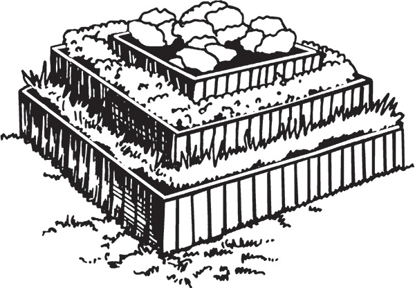 Иллюстрация к книге — Высокие грядки своими руками. Три урожая за сезон [i_016.jpg]