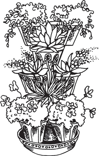 Иллюстрация к книге — Высокие грядки своими руками. Три урожая за сезон [i_017.jpg]