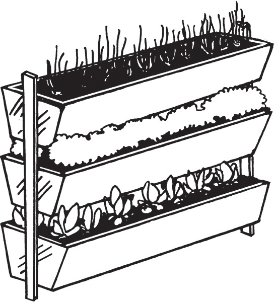 Иллюстрация к книге — Высокие грядки своими руками. Три урожая за сезон [i_019.jpg]