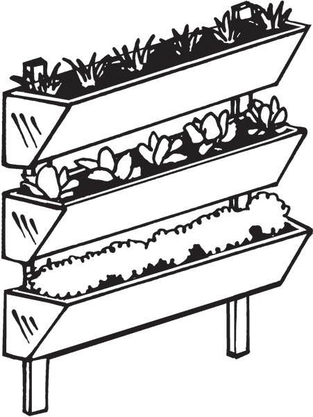 Иллюстрация к книге — Высокие грядки своими руками. Три урожая за сезон [i_020.jpg]