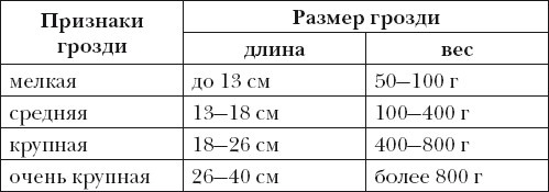 Иллюстрация к книге — Виноград. Секреты чудо-урожая [i_010.jpg]