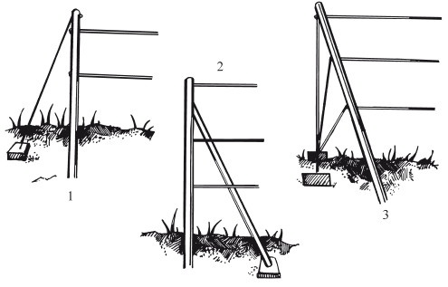 Иллюстрация к книге — Виноград. Секреты чудо-урожая [i_024.jpg]