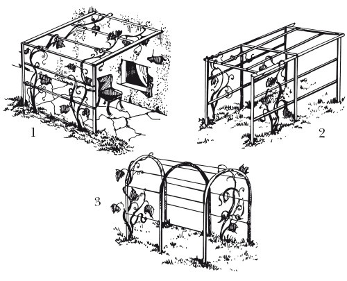 Иллюстрация к книге — Виноград. Секреты чудо-урожая [i_026.jpg]