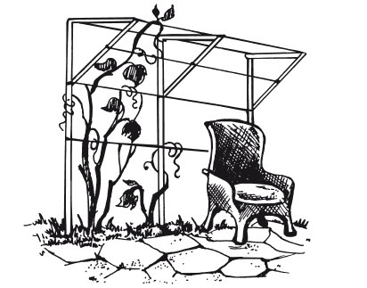 Иллюстрация к книге — Виноград. Секреты чудо-урожая [i_027.jpg]