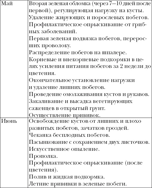 Иллюстрация к книге — Виноград. Секреты чудо-урожая [i_045.jpg]