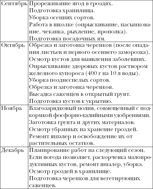Иллюстрация к книге — Виноград. Секреты чудо-урожая [i_047.jpg]