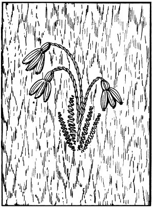 Иллюстрация к книге — Вышивка по бумаге [i_031.jpg]