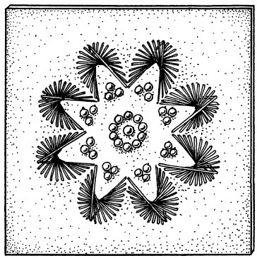 Иллюстрация к книге — Вышивка по бумаге [i_042.jpg]