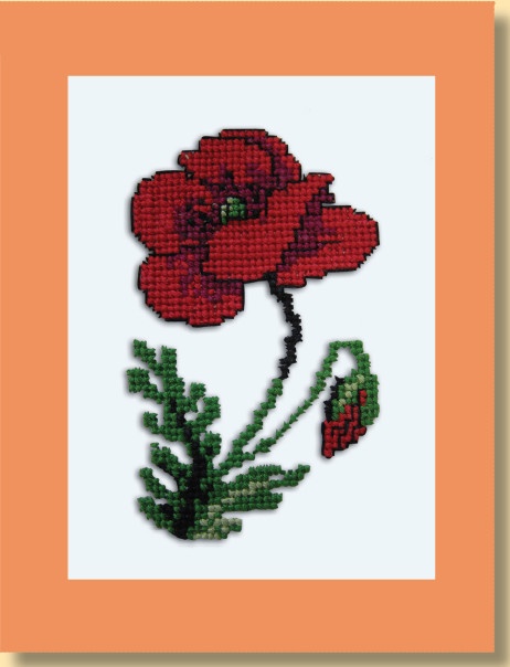 Иллюстрация к книге — Вышивка по бумаге [i_088.jpg]