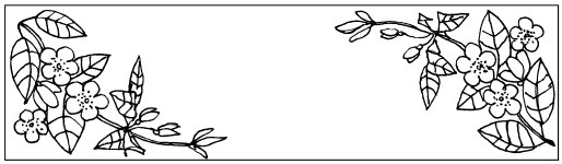 Иллюстрация к книге — Волшебный батик [i_084.jpg]