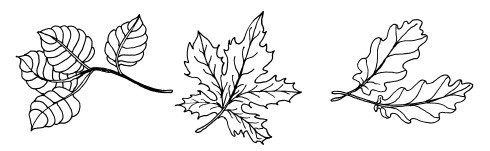 Иллюстрация к книге — Волшебный батик [i_085.jpg]