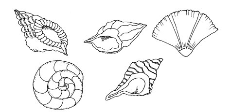 Иллюстрация к книге — Волшебный батик [i_090.jpg]