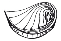 Иллюстрация к книге — Квиллинг. Поделки из бумажных лент [i_013.jpg]