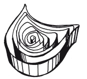 Иллюстрация к книге — Квиллинг. Поделки из бумажных лент [i_034.jpg]