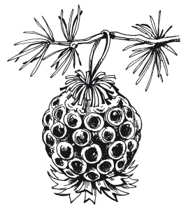 Иллюстрация к книге — Квиллинг. Поделки из бумажных лент [i_112.jpg]