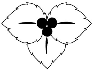 Иллюстрация к книге — Бижутерия и украшения своими руками [i_224.jpg]