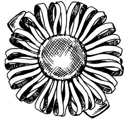 Иллюстрация к книге — Бижутерия и украшения своими руками [i_304.jpg]