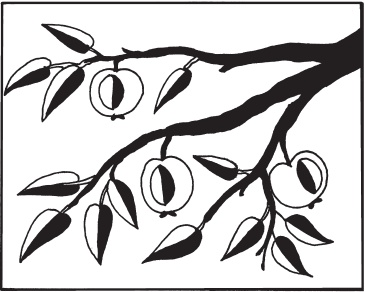 Иллюстрация к книге — Аппликация [i_021.jpg]