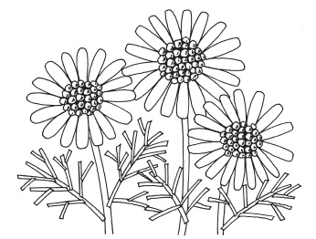 Иллюстрация к книге — Аппликация [i_030.jpg]