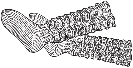 Иллюстрация к книге — Вязаные вещи для самых маленьких. От рождения до 3-х лет [i_041.jpg]