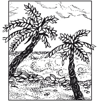 Иллюстрация к книге — Мозаика из крупы и семян [i_042.jpg]