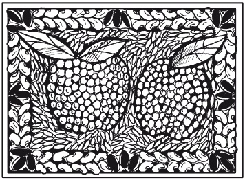 Иллюстрация к книге — Мозаика из крупы и семян [i_045.jpg]