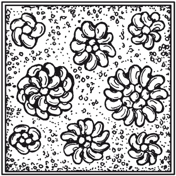 Иллюстрация к книге — Мозаика из крупы и семян [i_048.jpg]