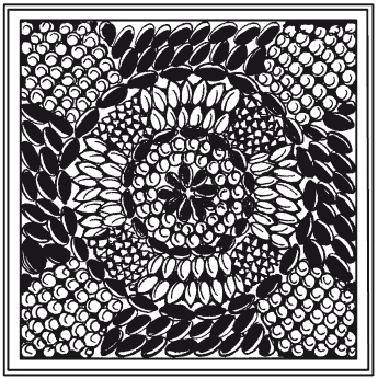 Иллюстрация к книге — Мозаика из крупы и семян [i_055.jpg]