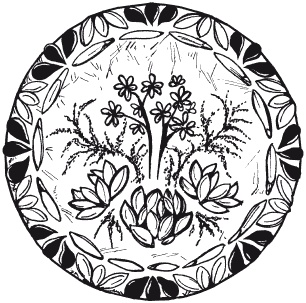 Иллюстрация к книге — Мозаика из крупы и семян [i_056.jpg]