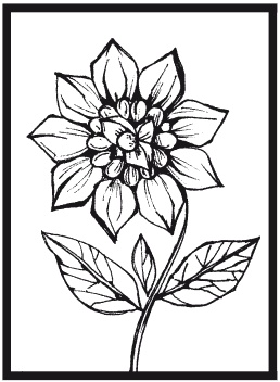 Иллюстрация к книге — Мозаика из крупы и семян [i_060.jpg]