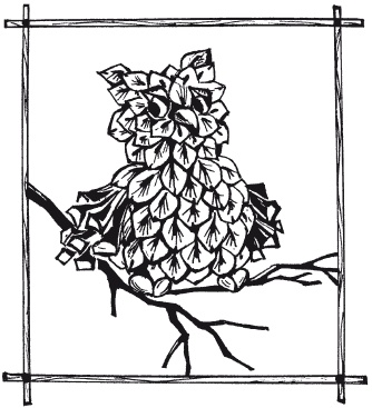 Иллюстрация к книге — Мозаика из крупы и семян [i_061.jpg]