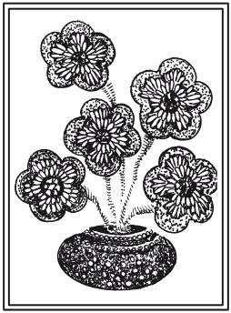 Иллюстрация к книге — Мозаика из крупы и семян [i_078.jpg]