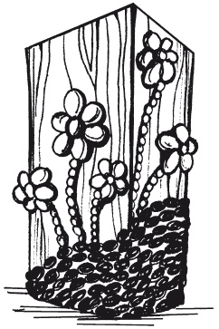 Иллюстрация к книге — Мозаика из крупы и семян [i_079.jpg]