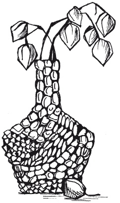 Иллюстрация к книге — Мозаика из крупы и семян [i_081.jpg]