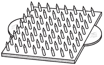 Иллюстрация к книге — Всё о семенах овощных культур [i_029.jpg]