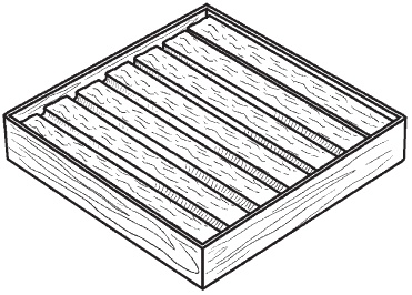 Иллюстрация к книге — Всё о семенах овощных культур [i_031.jpg]