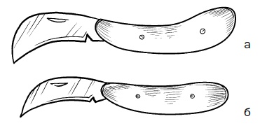 Иллюстрация к книге — Прививка плодовых деревьев: распространенные ошибки и секреты успешной прививки [i_018.jpg]