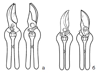 Иллюстрация к книге — Прививка плодовых деревьев: распространенные ошибки и секреты успешной прививки [i_021.jpg]