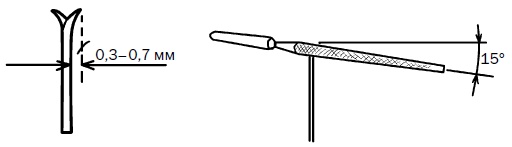 Иллюстрация к книге — Прививка плодовых деревьев: распространенные ошибки и секреты успешной прививки [i_024.jpg]